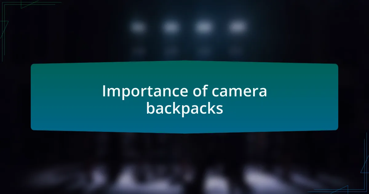 Importance of camera backpacks