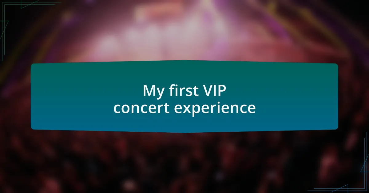 My first VIP concert experience