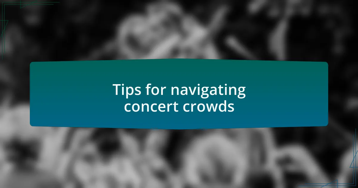 Tips for navigating concert crowds